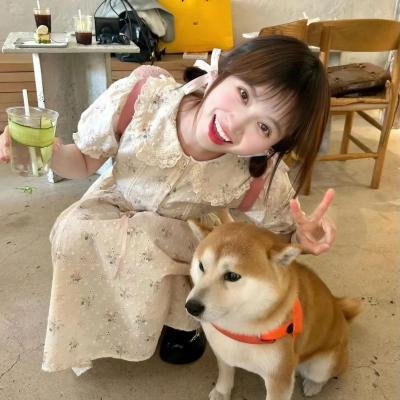 飞侠小白龙